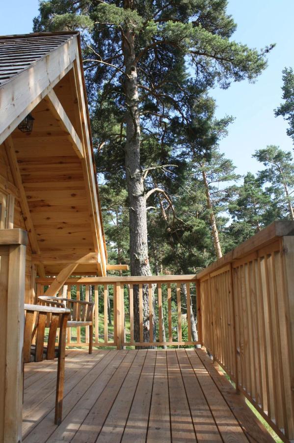 מורול Cabane Lodge Domaine Du Lac Chambon מראה חיצוני תמונה