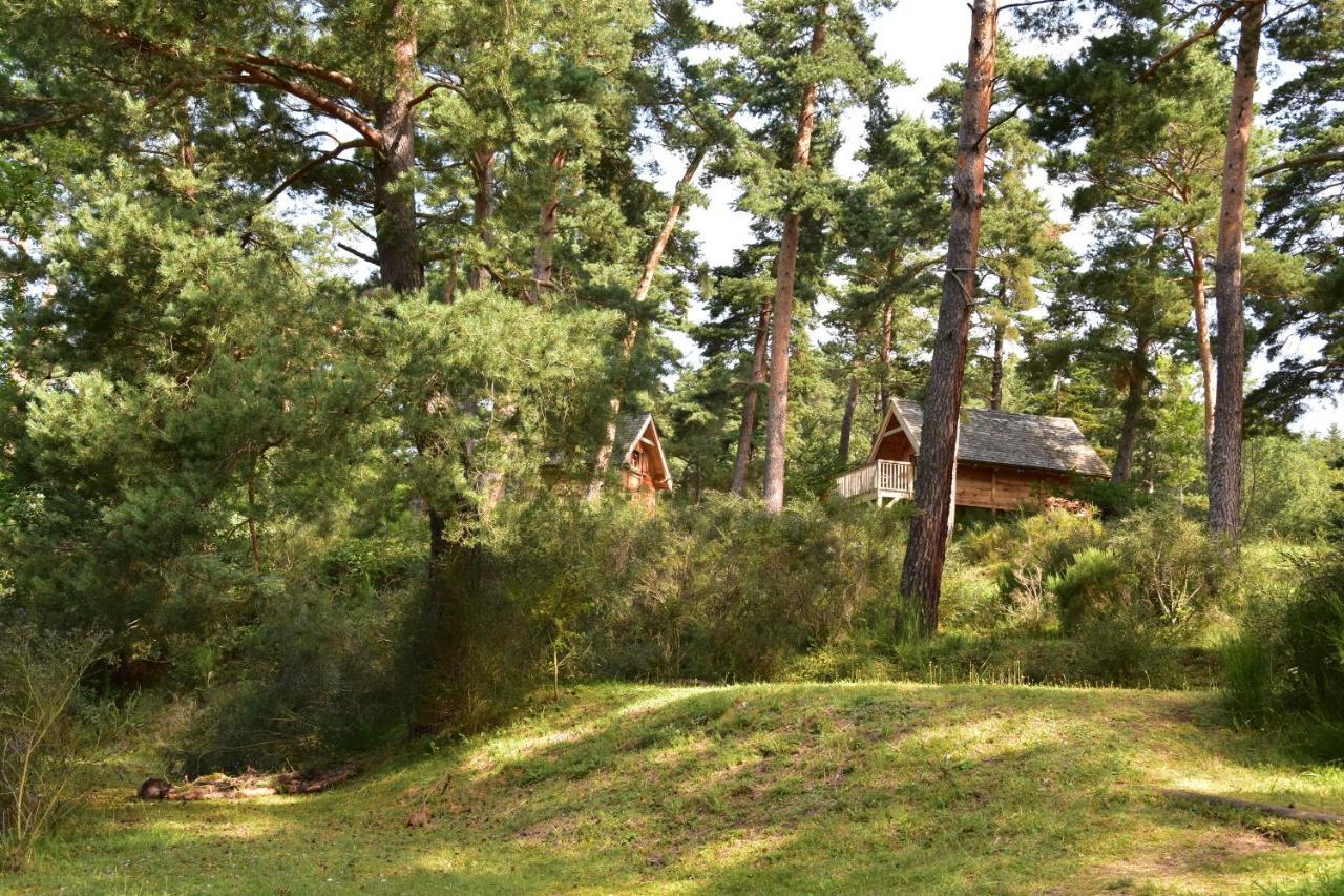 מורול Cabane Lodge Domaine Du Lac Chambon מראה חיצוני תמונה